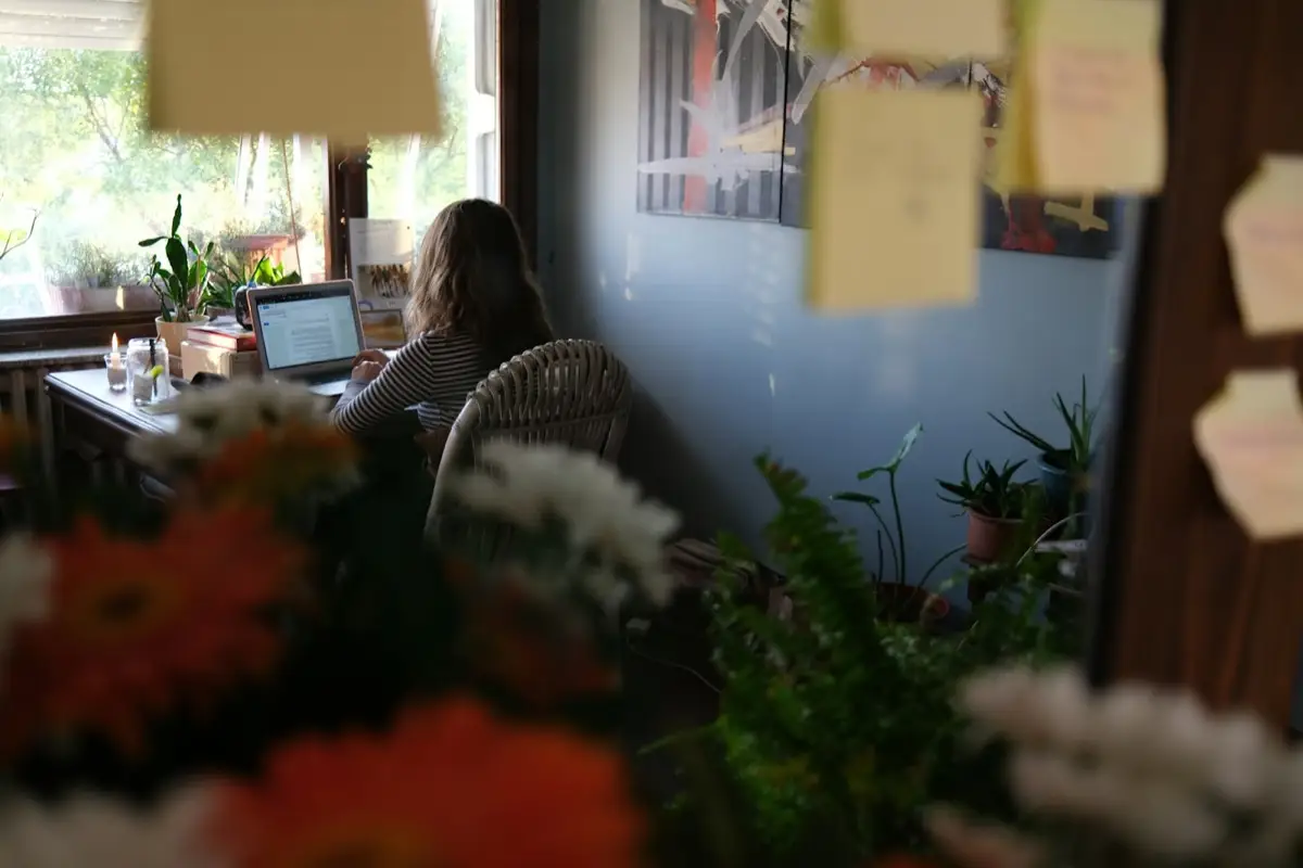 A person working calmly at a sunlit desk surrounded by plants